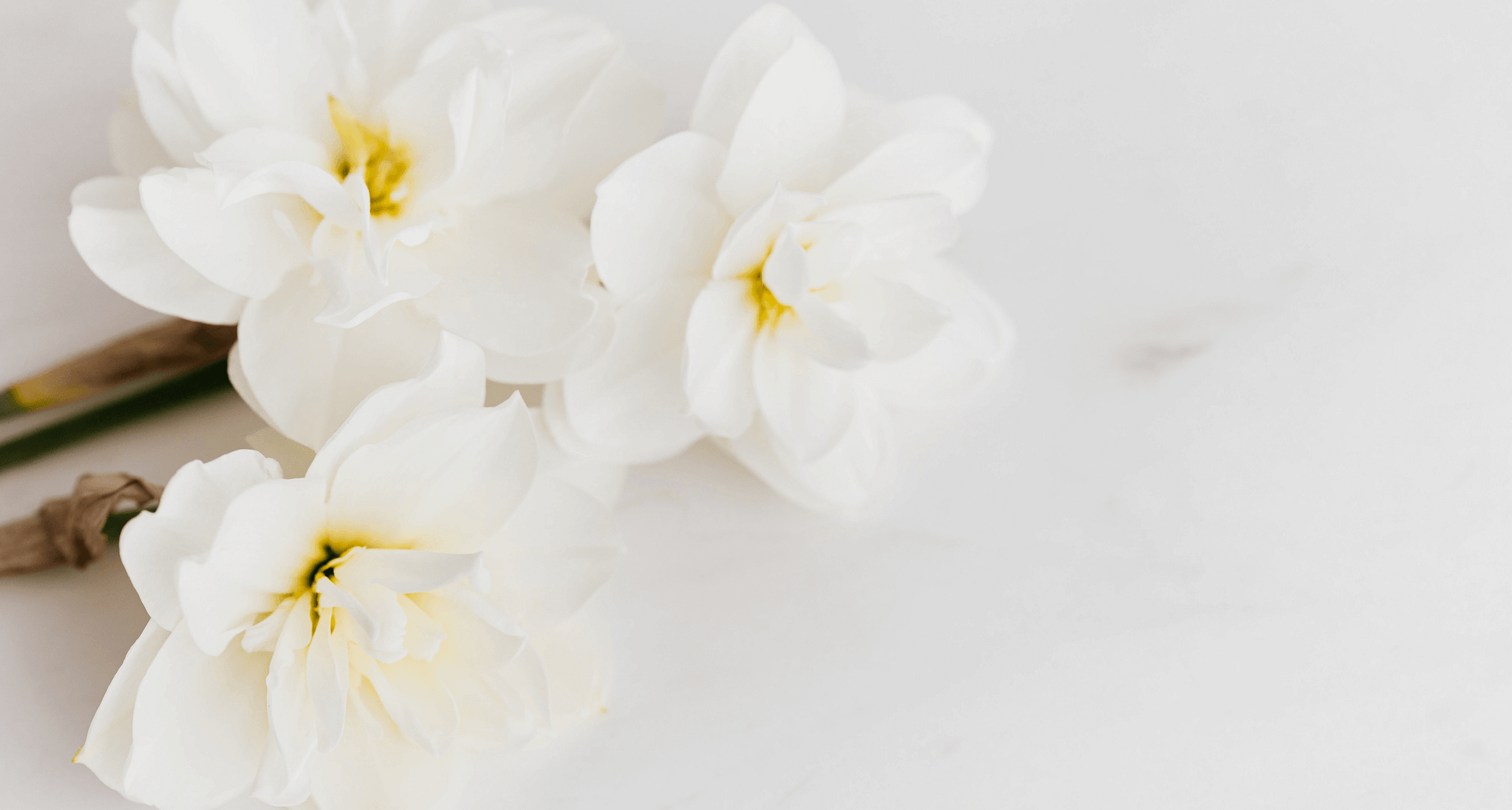 florarie-online-piatra-neamt-2